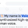 Voicer Text Speech Plugin