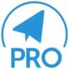 WP Telegram Pro