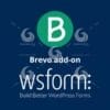 WS Form Brevo add-on