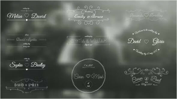 Wedding Labels VideoHive 19414957