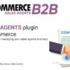 WooCommerce B2B Sales Agents