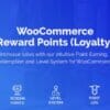 WooCommerce Reward Points Plugin