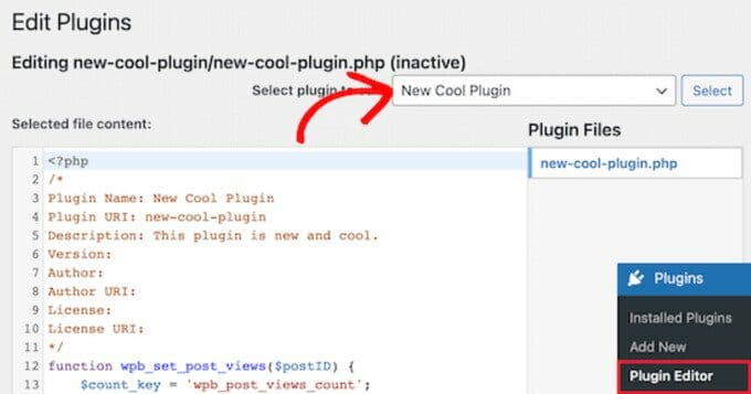 add-code-to-site-specific-plugin