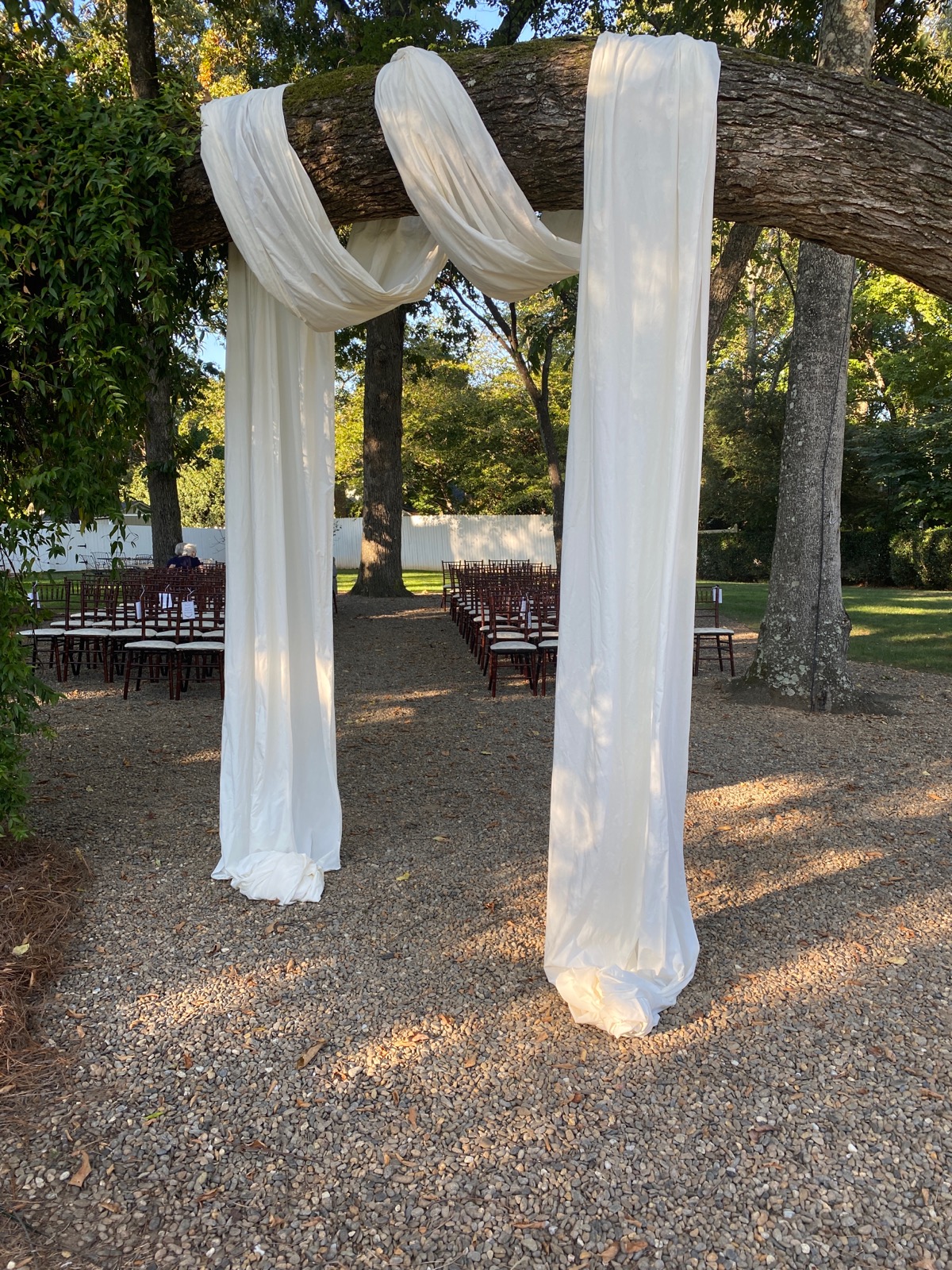 white cloth draped over a large bough with chairs in rows