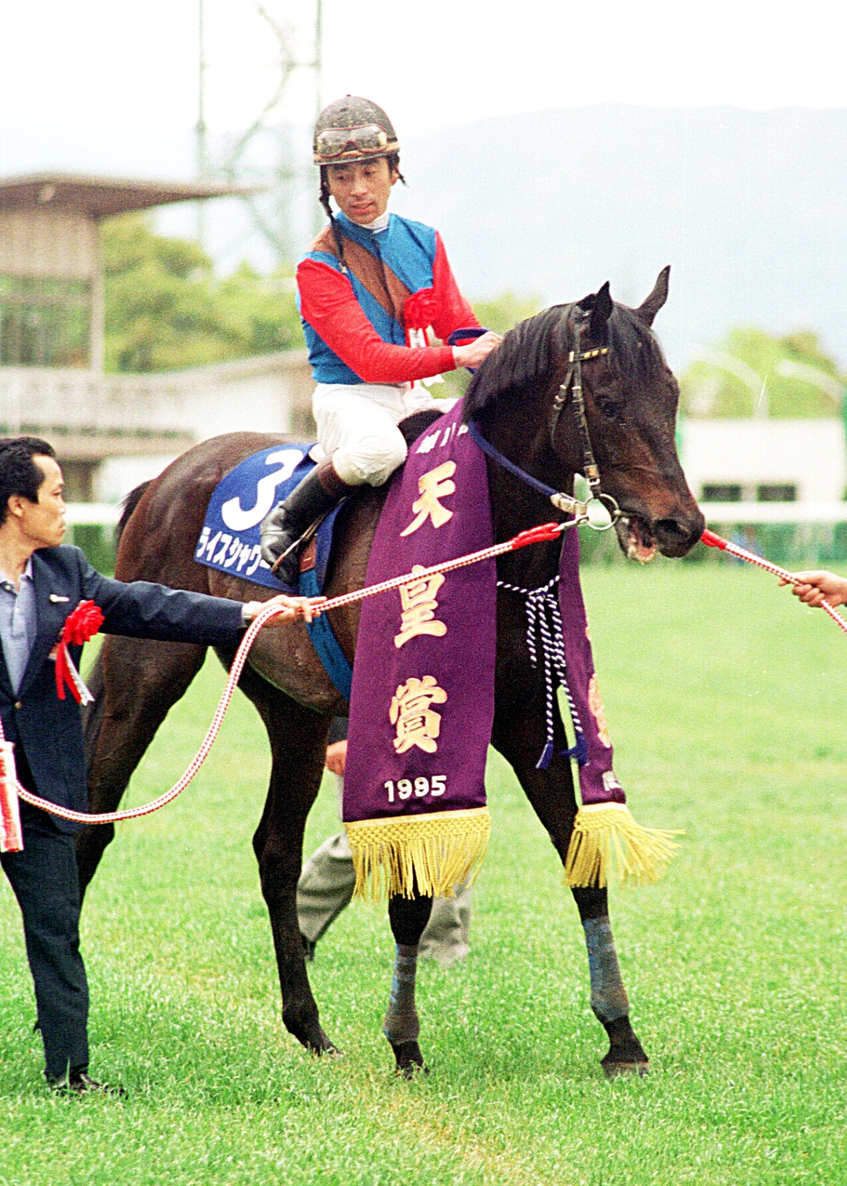 ライスシャワー　天皇賞秋、有馬記念 週刊100名馬」ライスシャワー あの坂の向こうに【前編】by阿部珠樹