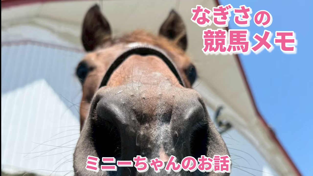 競馬 に ちゃん