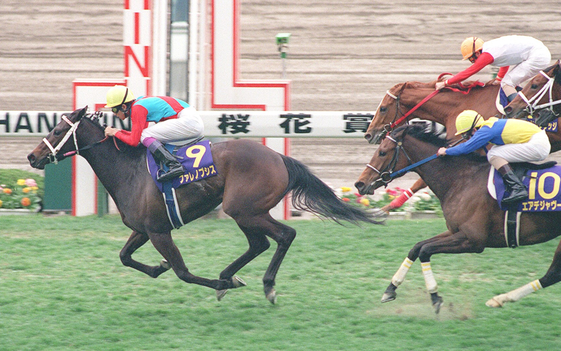 週刊100名馬」ファレノプシス 情念花開くとき【中編】by江面弘也