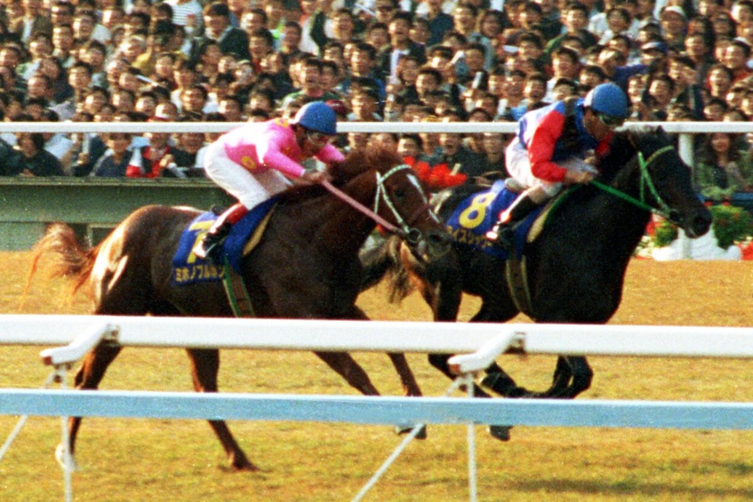 週刊100名馬」ライスシャワー あの坂の向こうに【中編】by阿部珠樹