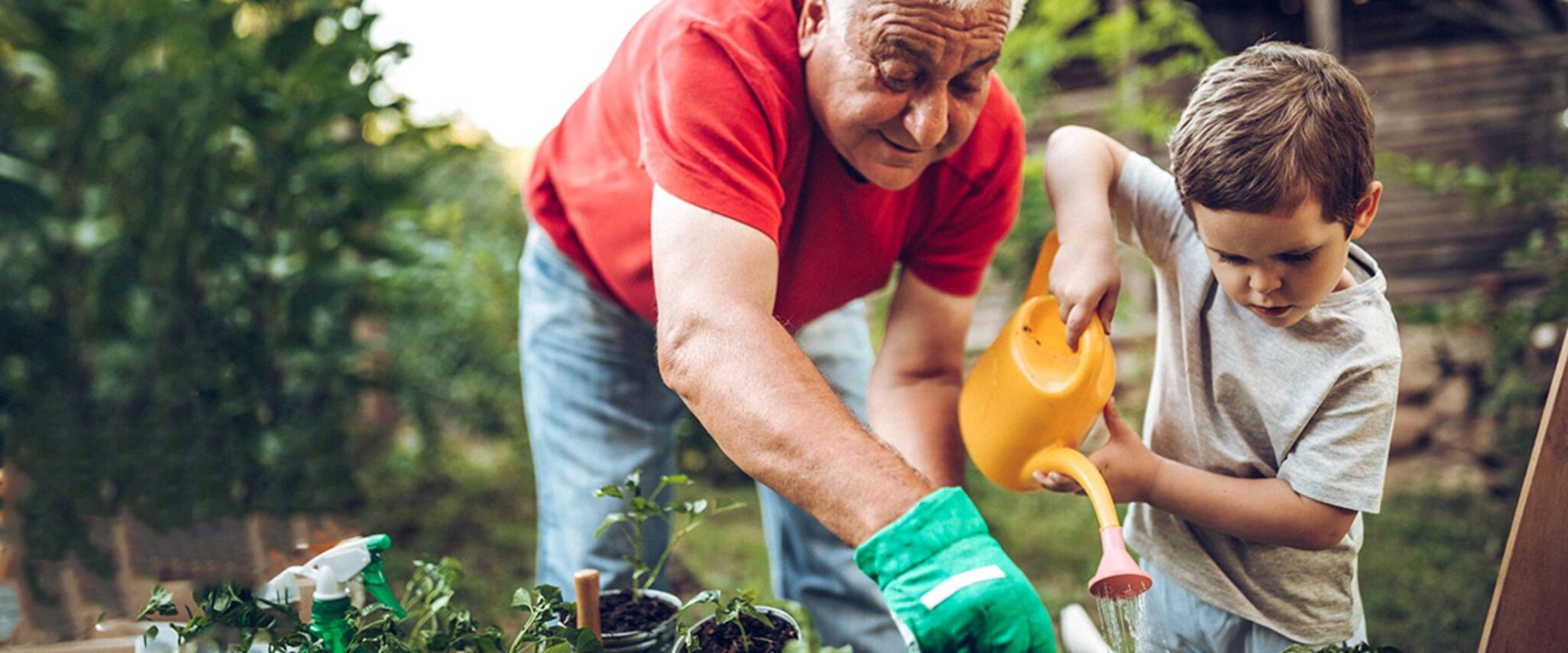 10 Tips to Make Gardening Easier for Seniors Galleria Woods