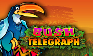 Bush Telegraph thumbnail