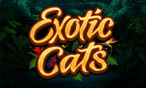 Exotic Cats thumbnail