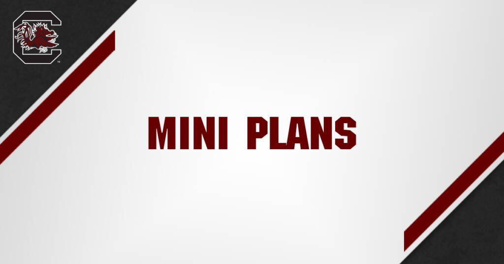 Mini Plans Button