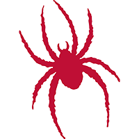 University of Richmond