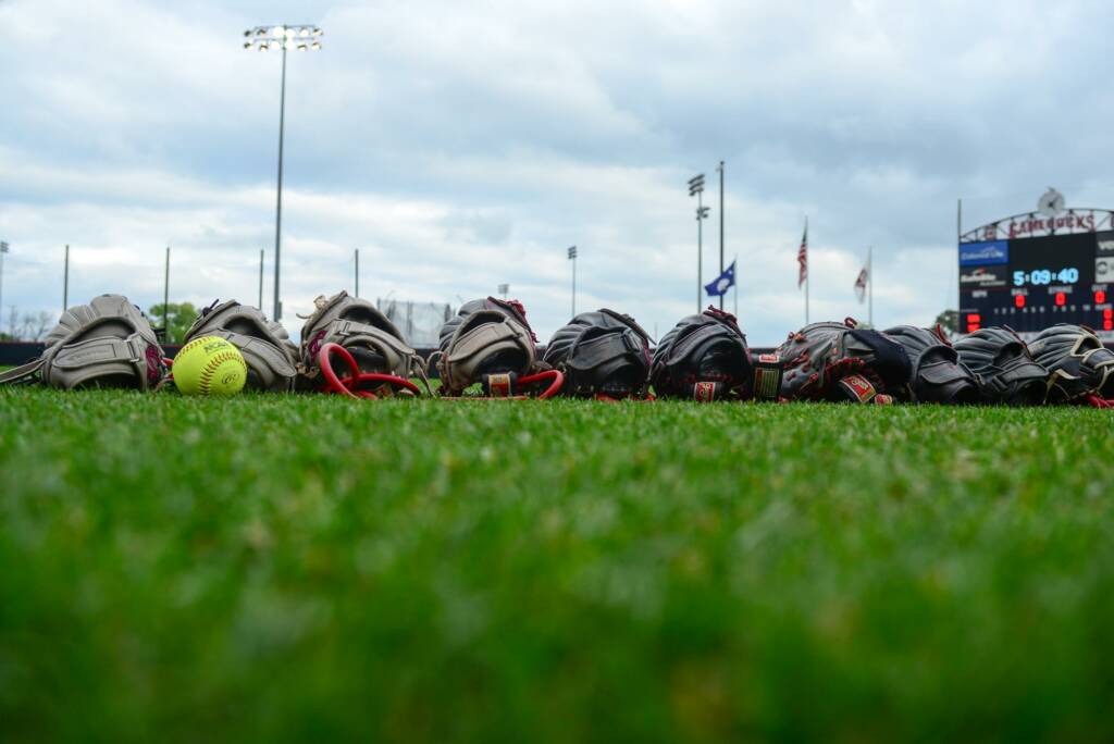 Softball Gloves