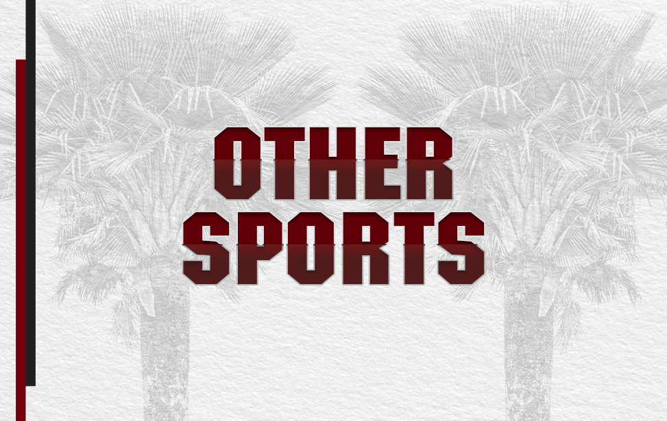 other sports