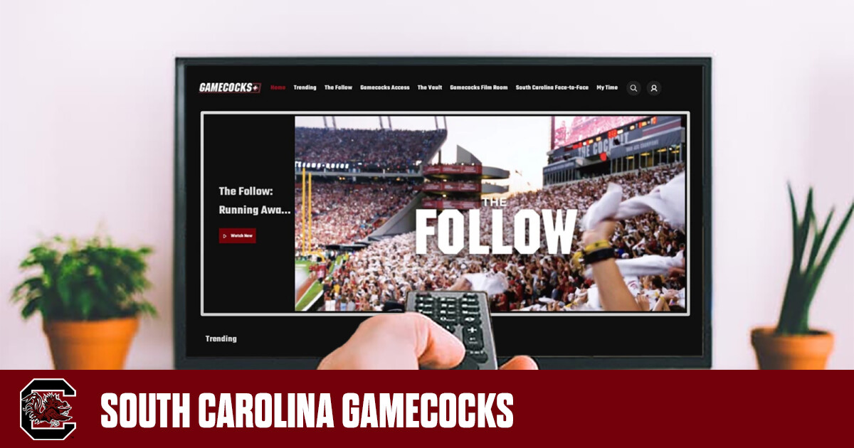 Gamecocks Network (@gamecocks.network) • Instagram photos and videos