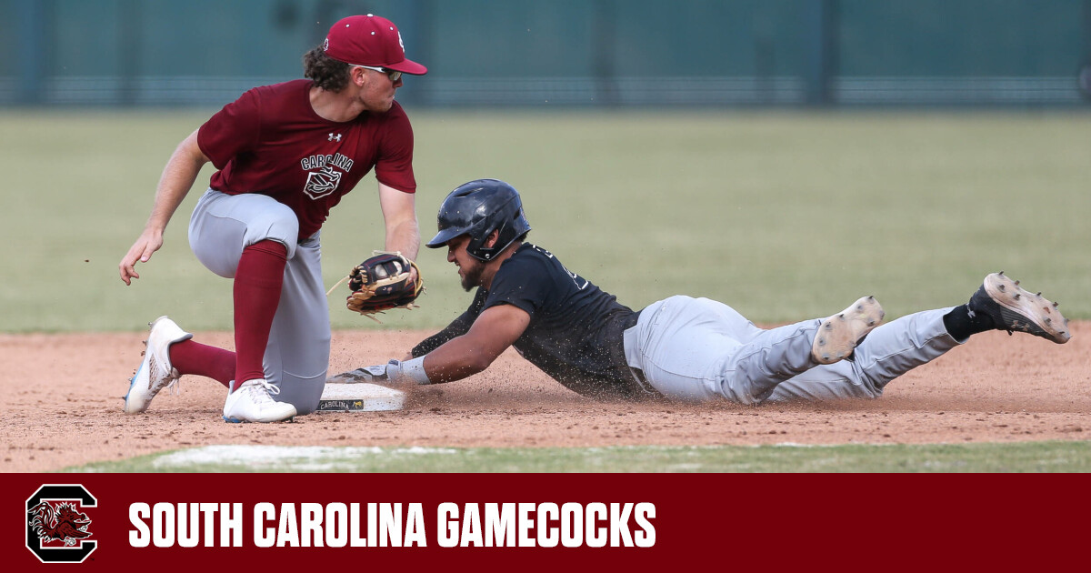 Gamecocks in the MLB Update – August 9 – University of South Carolina  Athletics