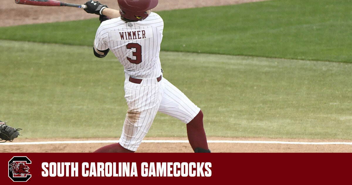 NCAA Baseball - East Carolina vs. South Carolina - February 24