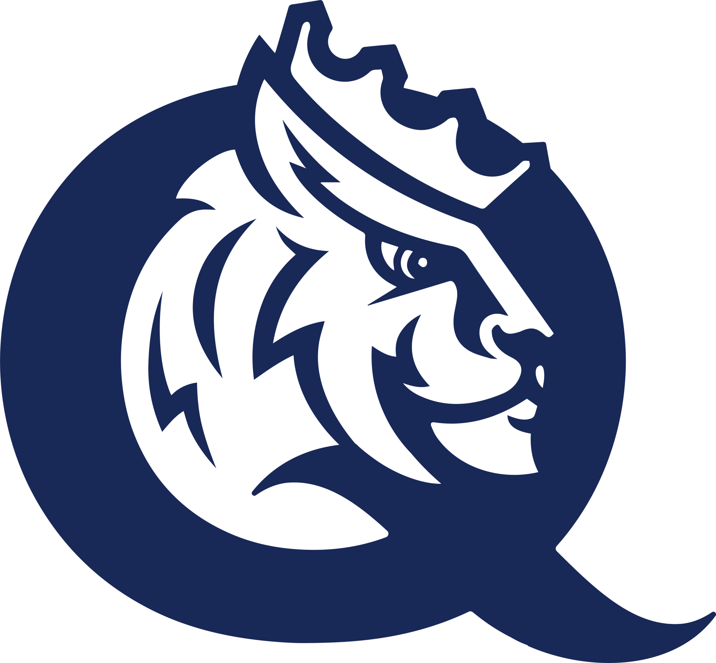 Queens University Charlotte Logo