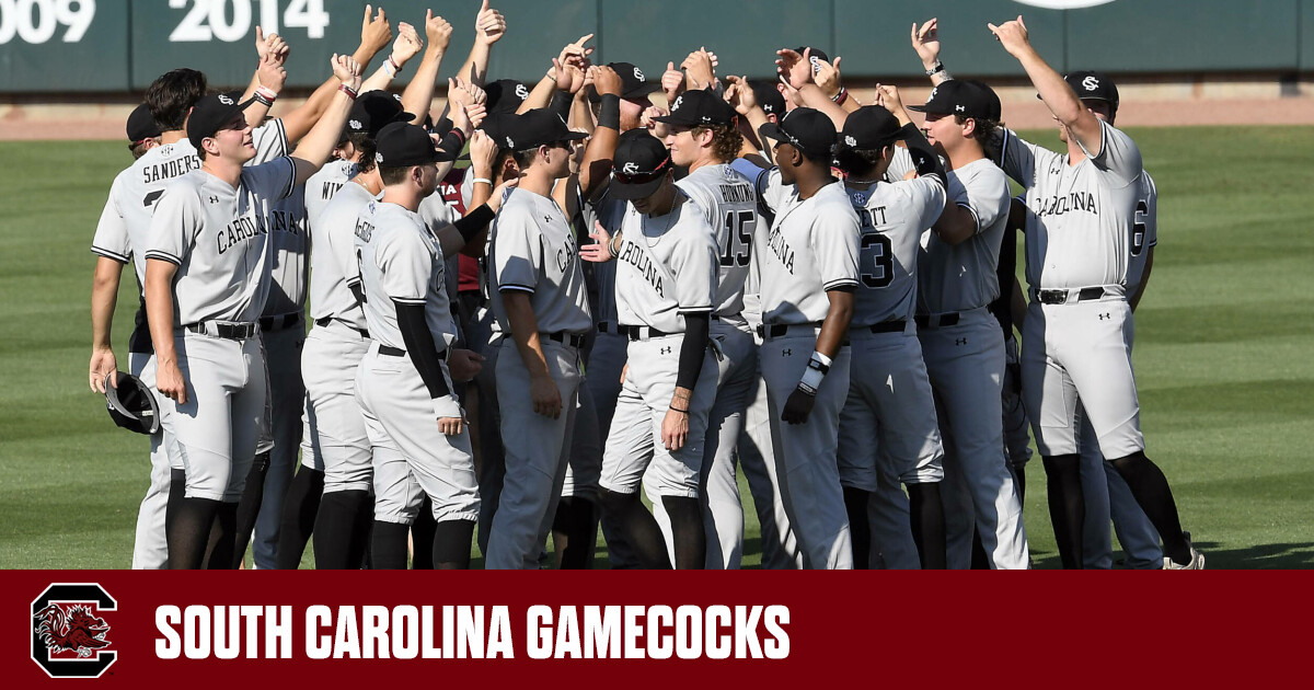 South Carolina Gamecocks Baseball - BVM Sports