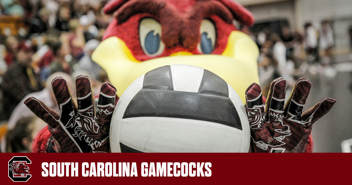 South Carolina Volleyball to Host Free Match Against LSU in Rematch