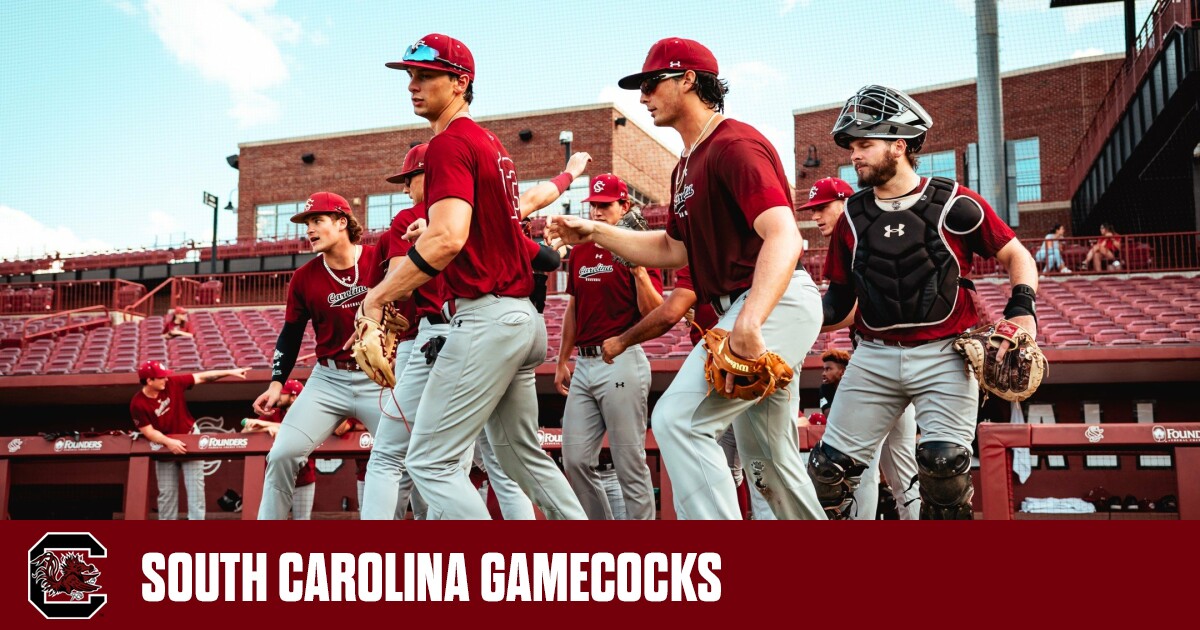 South Carolina Gamecocks Baseball - BVM Sports