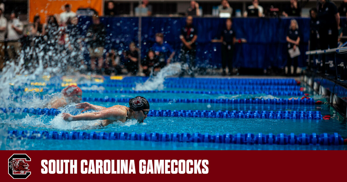 South Carolina Swimmers Shine at Women’s NCAA Swim & Dive Championships