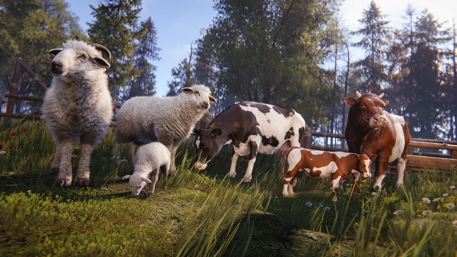 Rust Cows and Sheep