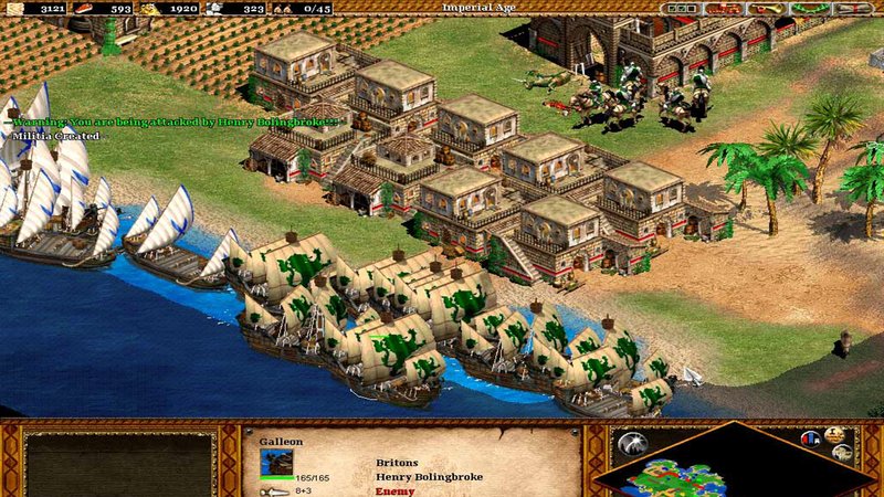 Age of Empires II: The Conquerors