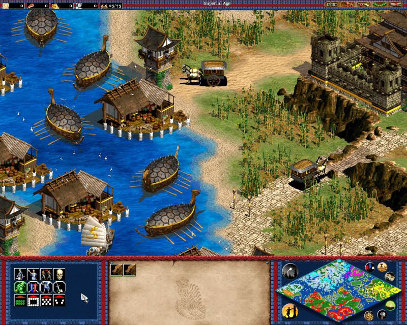 Age of Empires II: The Conquerors