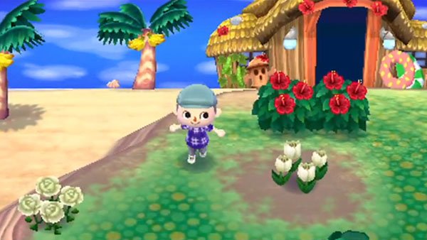 Animal Crossing: New Leaf