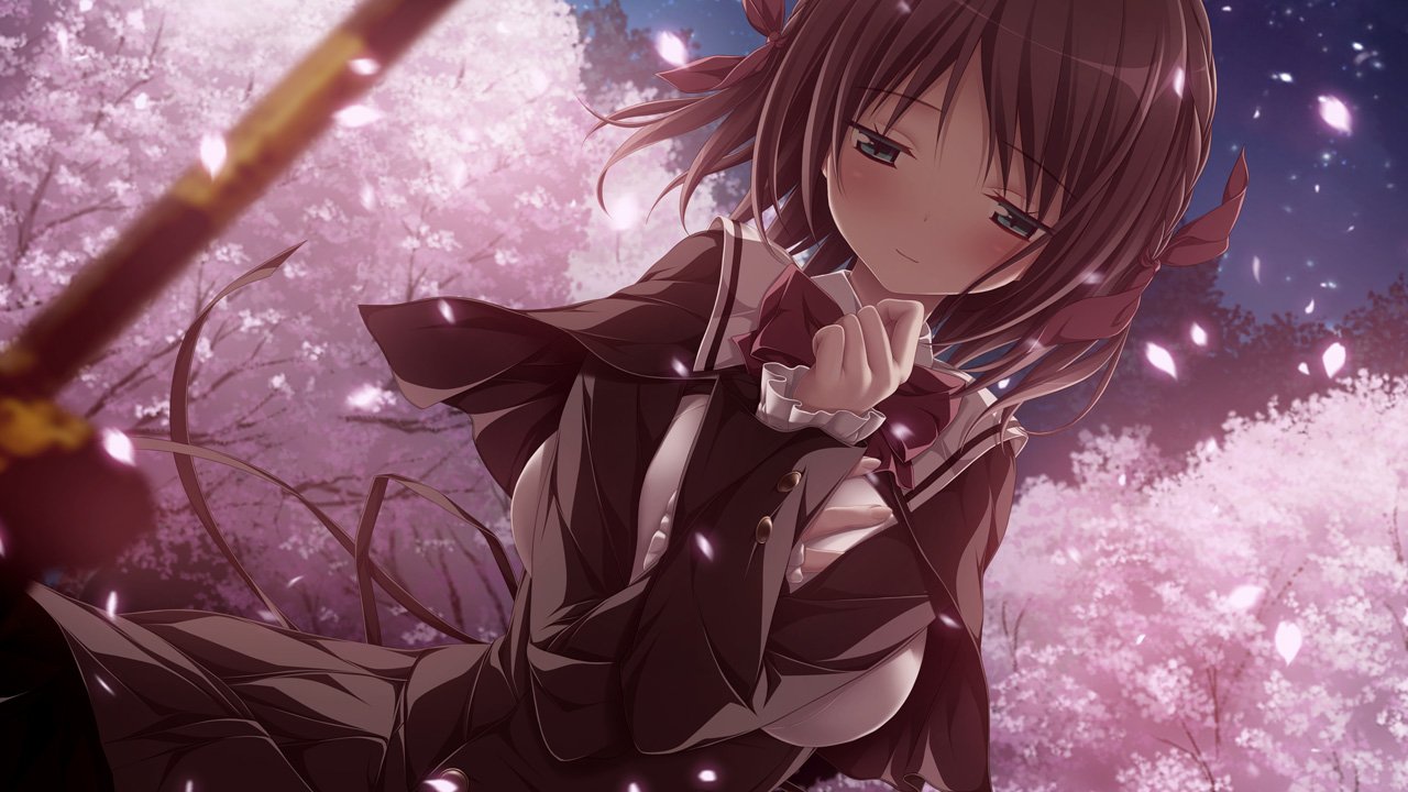 Aoi Tori Review-4
