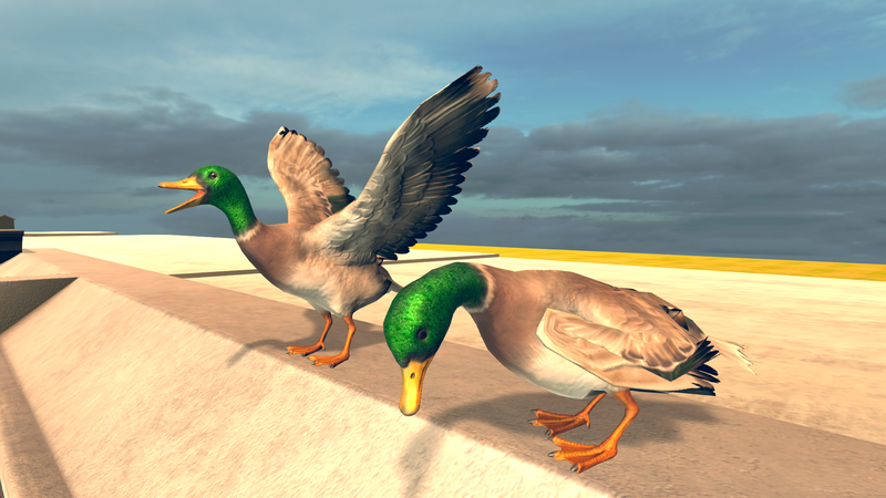 Bird Simulator