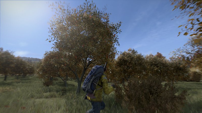 DayZ