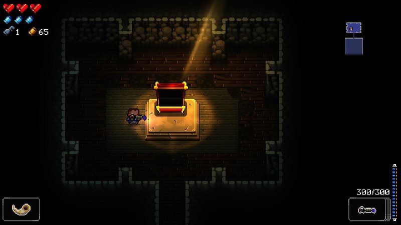 Enter the Gungeon