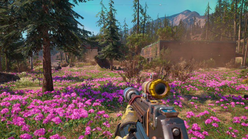 Far Cry New Dawn