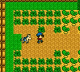 Harvest Moon GB