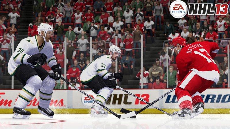 NHL 13