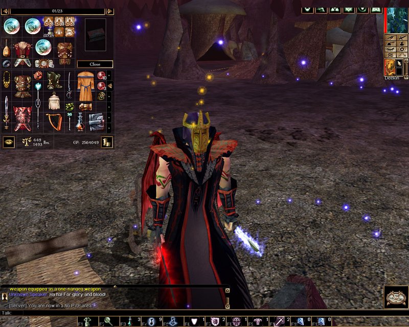 Neverwinter Nights