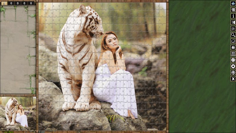 Pixel Puzzles Traditional Jigsaws