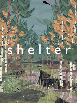 Shelter