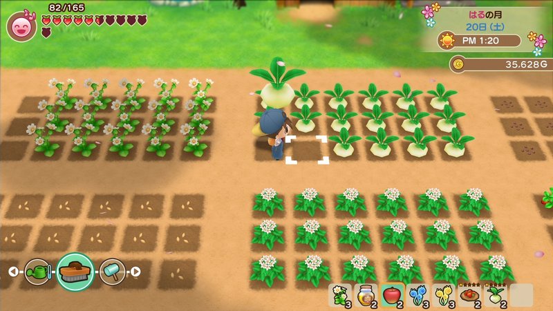 Story of Seasons: Friends of Mineral Town