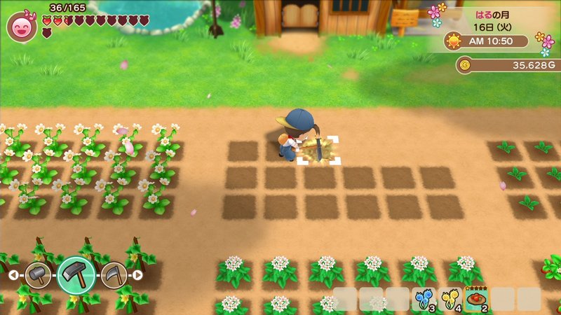 Story of Seasons: Friends of Mineral Town