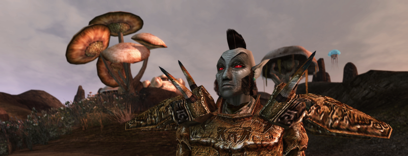 The Elder Scrolls III: Morrowind