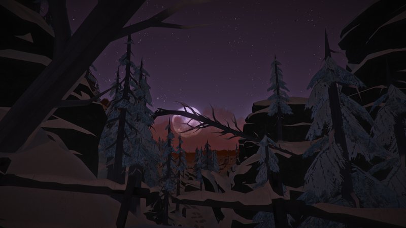 The Long Dark