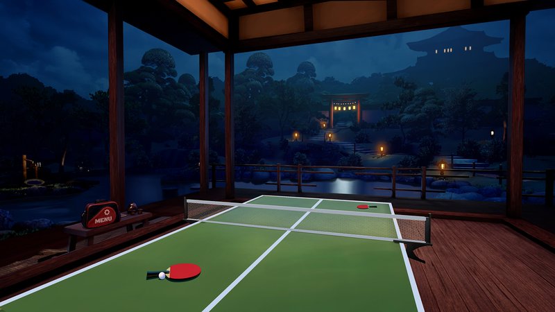 VR Ping Pong Pro