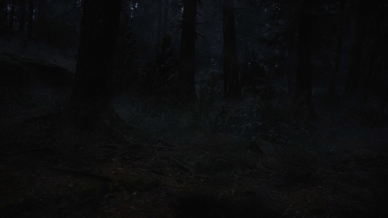 Whispers in the Fog