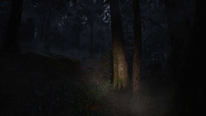 Whispers in the Fog