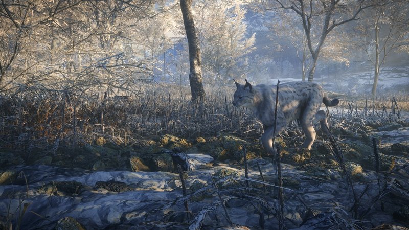 theHunter: Call of the Wild - 2019 Edition