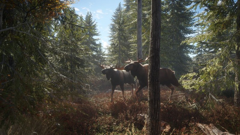 theHunter: Call of the Wild - 2019 Edition